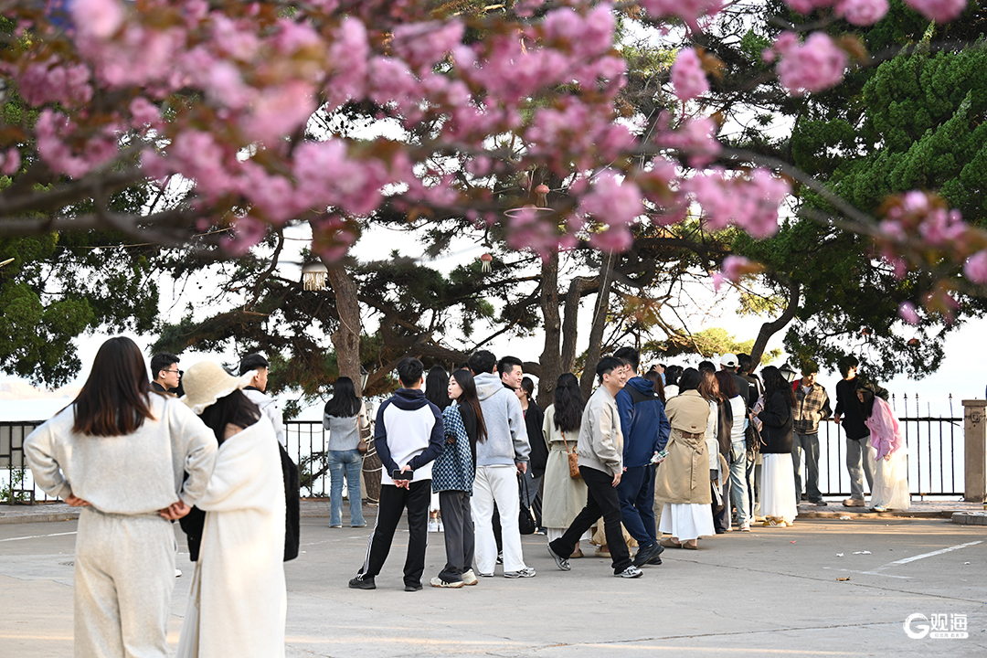 春夏相交之季，青岛筑起沉浸式文旅“新范式”