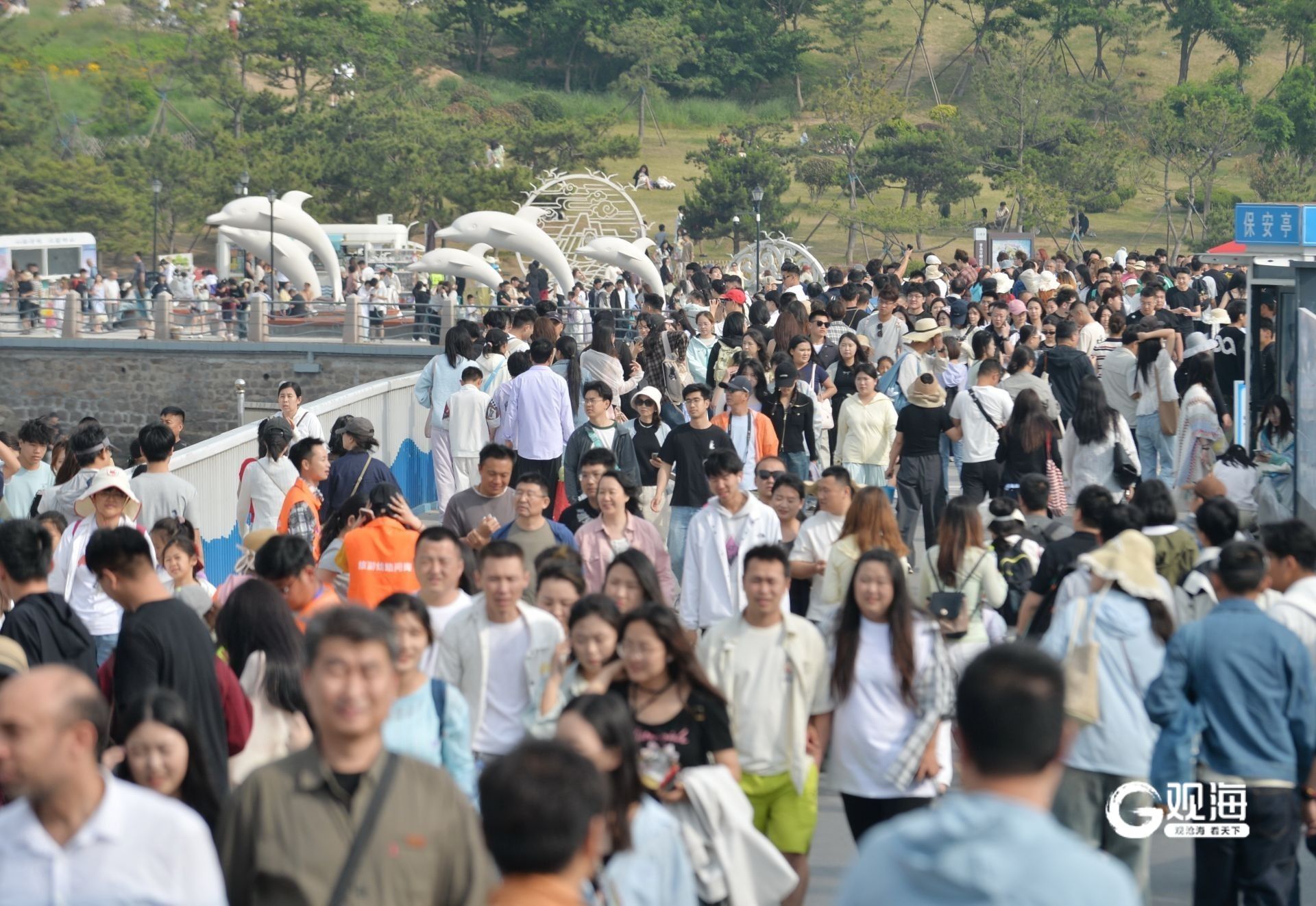 端午假期接待游客超11万人次！来看小麦岛的“流量密码”