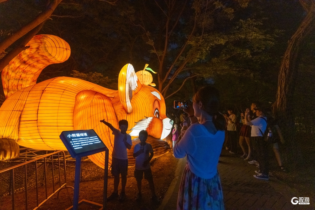 全龄皆嗨！青岛这场光影盛宴奏响山海文化夜之乐章