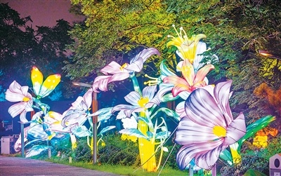 北京——年轻人夜游公园乐趣多