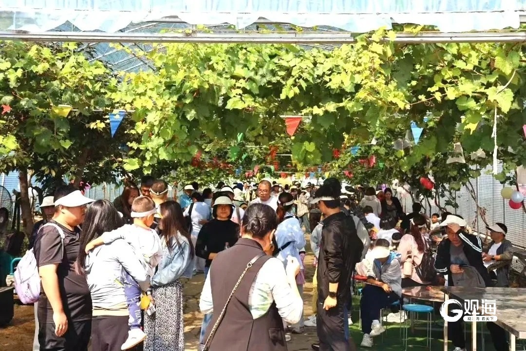 拉动乡村消费近2亿元！乡村振兴片区成青岛市民双节郊游“热选