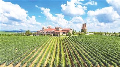 “废坑闲舍”蝶变“网红景点” 莱西市将“沉睡资源”转化为带动乡村振兴的