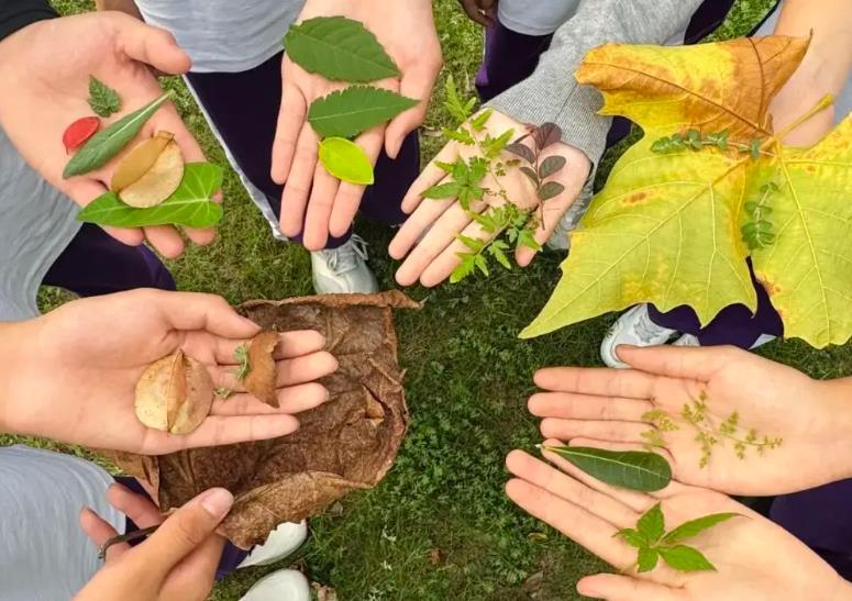 “捡秋”走红的文旅启示