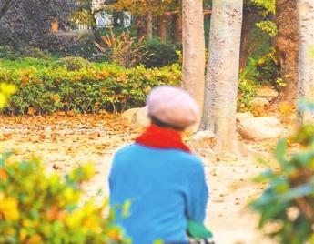 秋景进入最佳观赏期 市南画出打卡线路图