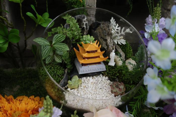 湖南“00后”方寸间凝诗意 玩转苔藓微景观