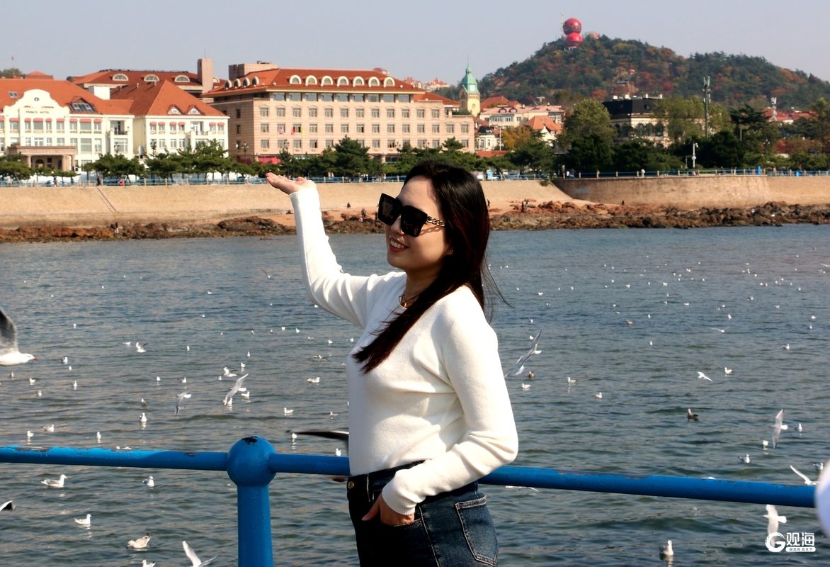 与鸥为邻,青岛藏着最治愈的互动