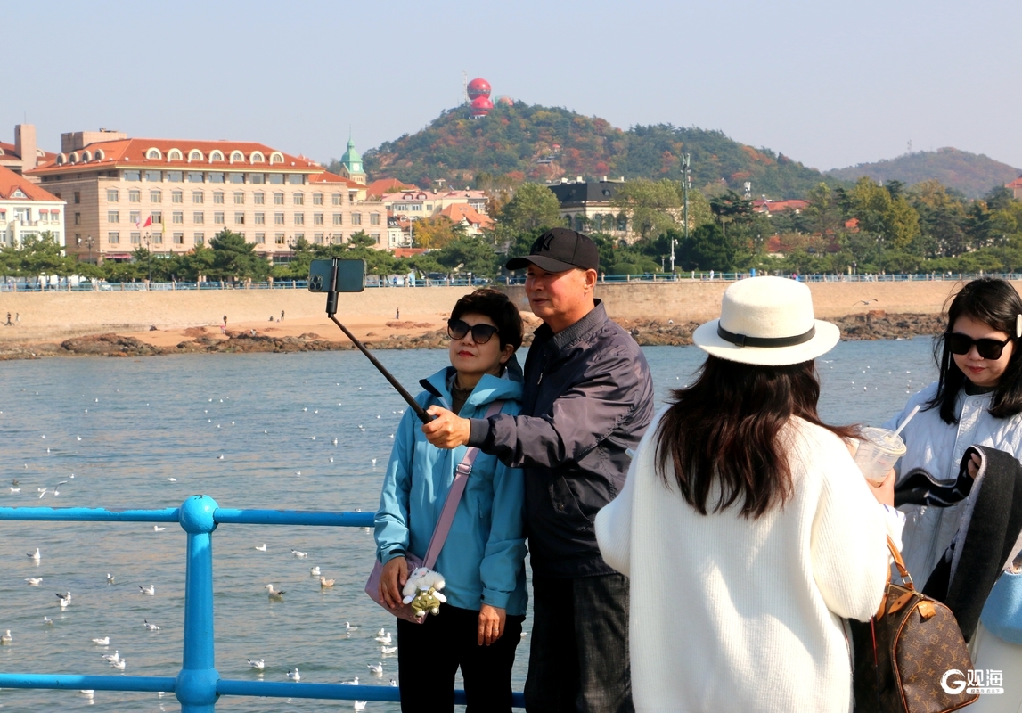 与鸥为邻,青岛藏着最治愈的互动