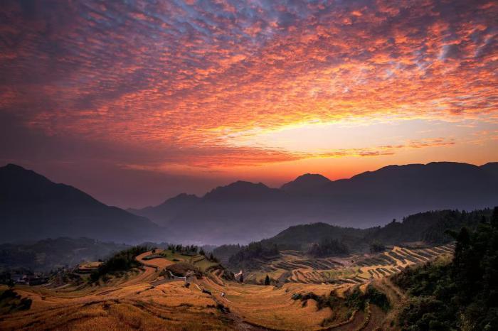 光影华章：浙江丽水擘画“城影共舞”蓝图