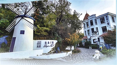 从文化秀场到产业引擎，青岛庭院文旅正培育新型公共文化空间