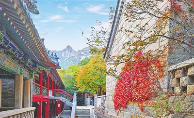 青岛市崂山区推出冬季文旅促消费系列活动