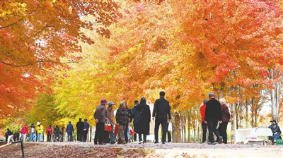 青岛西海岸新区张家楼街道年接待游客超200万人次 带动全域消费