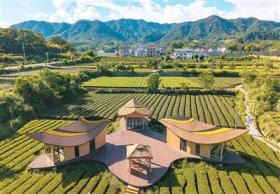 民宿:“小空间” 大有为