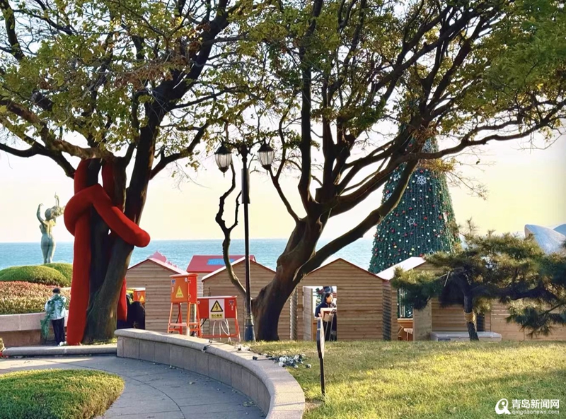 鸥鸣潮起暖冬日!青岛海鸥季解锁滨海消费新图景