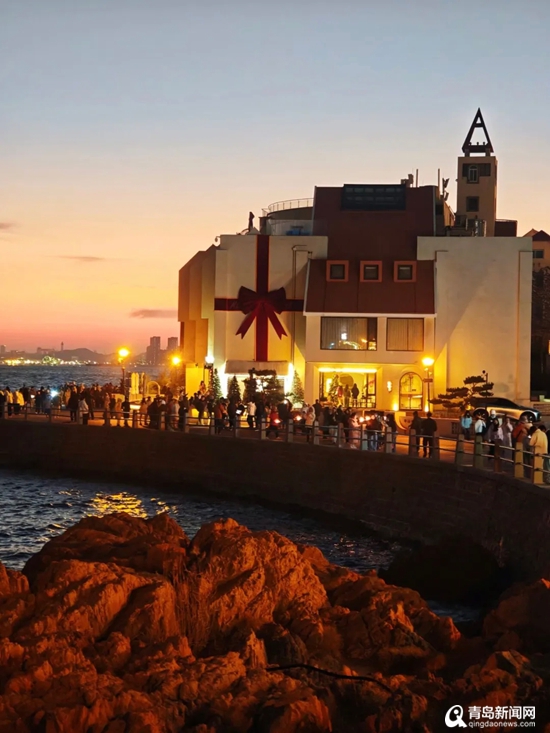 鸥鸣潮起暖冬日!青岛海鸥季解锁滨海消费新图景