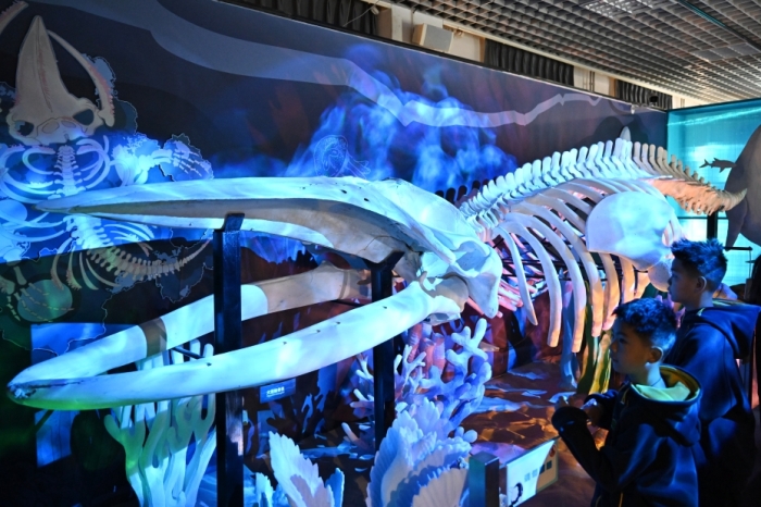 北京逾20家博物馆将“跨年”开放迎新年