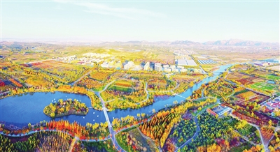 青岛西海岸新区画美达尼乡村振兴片区入选全国乡村振兴实践案例