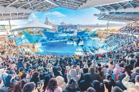 游主题公园 体验更丰富