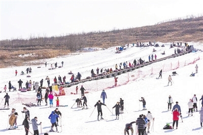 冷冰雪释放热活力 青岛滑雪场迎来旺季