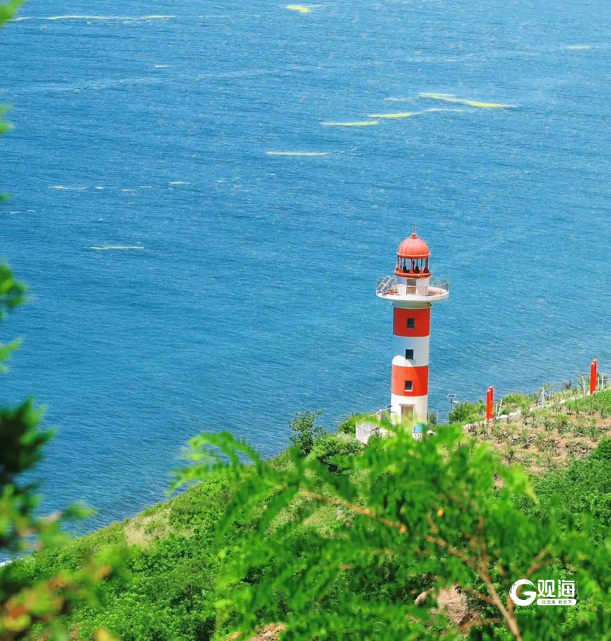 城岛联动，海岛“出圈”新蓝图！青岛海岛旅游开发迈入“加速期”