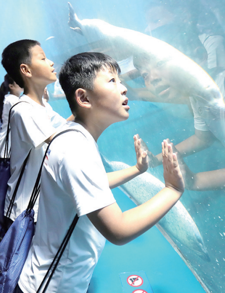 青岛全面修订旅游条例 法治护航旅游强市建设