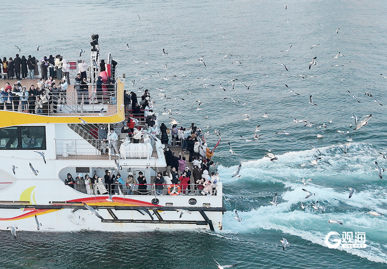 “海上看青岛”近悦远来,客源加速向全国拓展