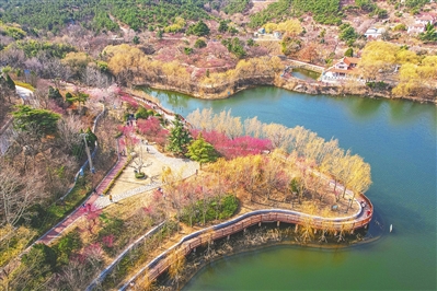 清明将现亲子游、赏花游热潮!青岛产品热度高