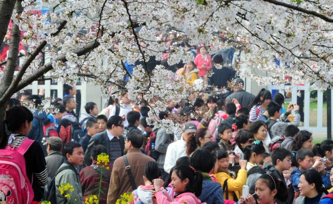 春假“带飞”清明节旅游，小长假“含娃量”爆表