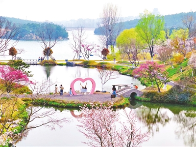 青岛乡村振兴片区清明假期乡村游热闹红火,激发春日消费“新