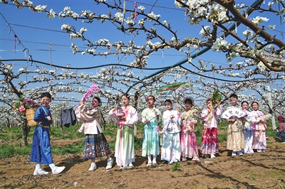 莱西市第十一届梨花节启幕,解锁春日乡村新玩法