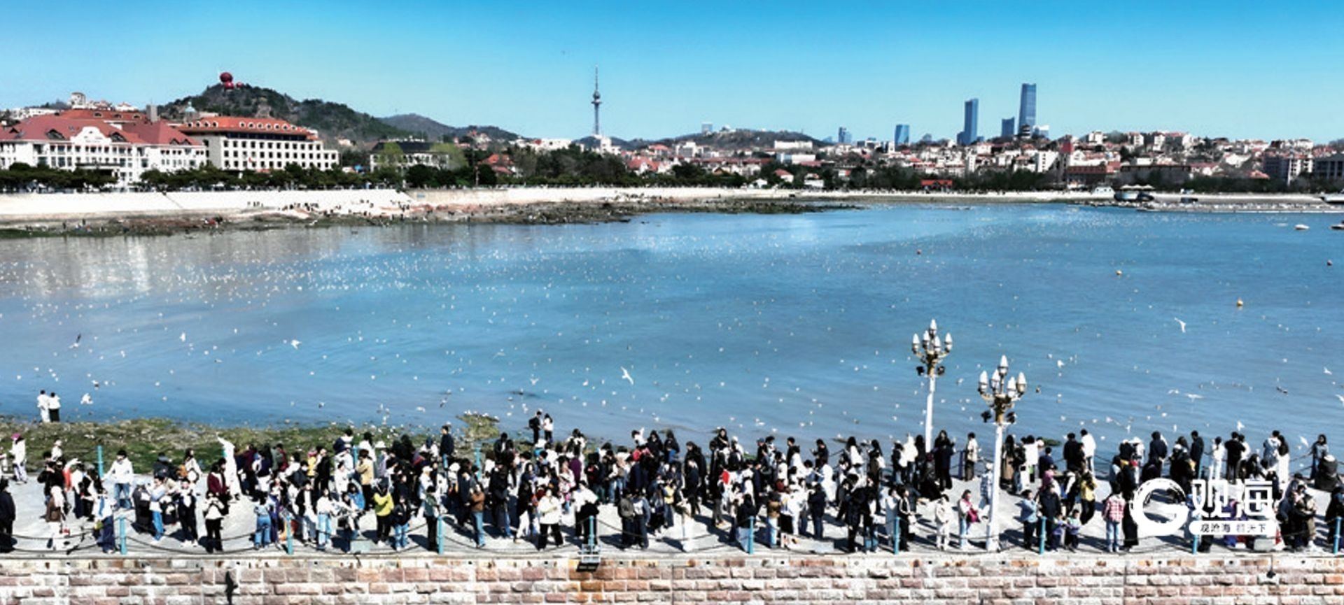 在全省文旅盛会上，青岛大项目、新场景诚邀“合伙人”共绘“