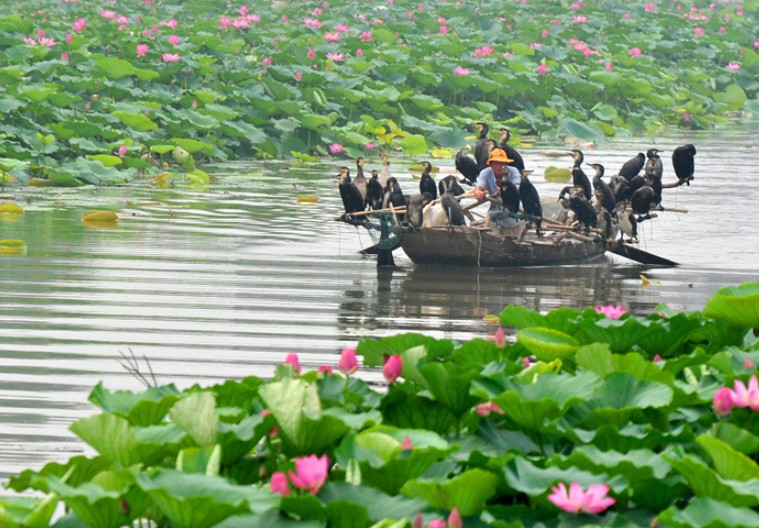 水陆一体 快旅慢游