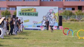 贺兰山下多场景留客 文旅消费新活力释放