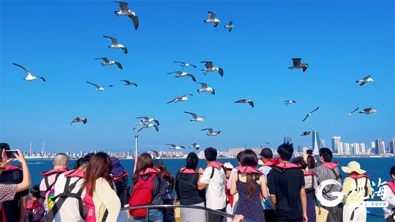 山海有约，潮起奥帆，青岛旅游集团双节体验精彩纷呈